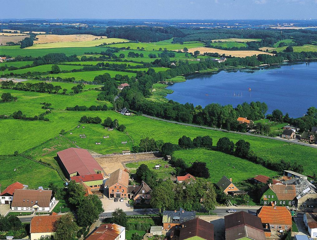 Ponyhof Naeve Am Wittensee Gross Wittensee Exterior photo
