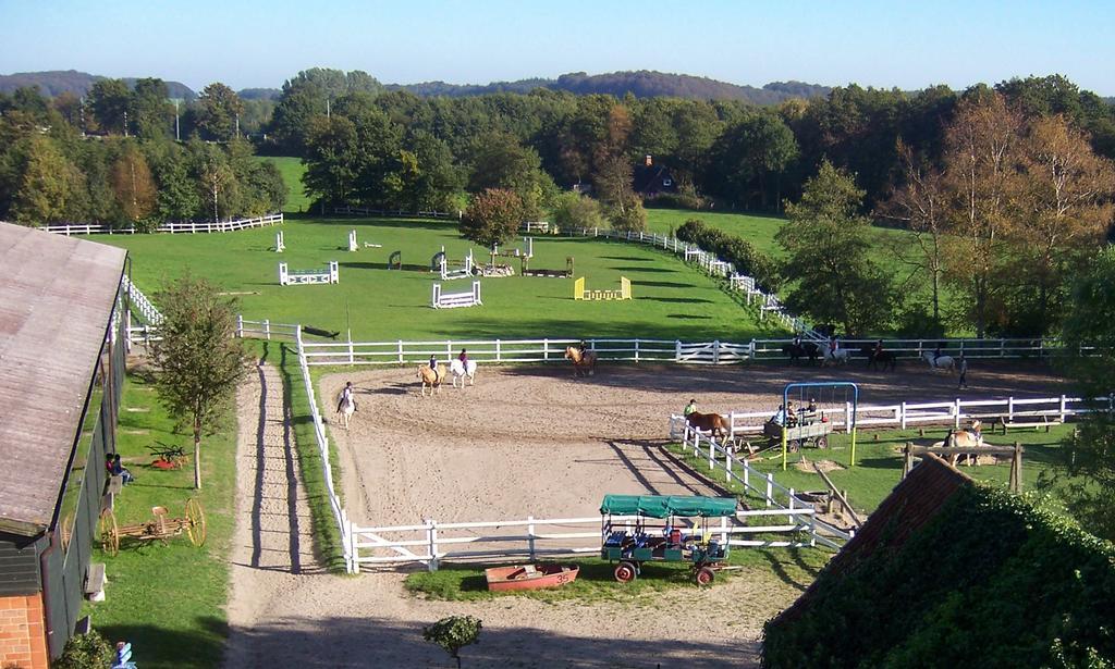 Ponyhof Naeve Am Wittensee Gross Wittensee Exterior photo